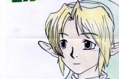 Link Adulte