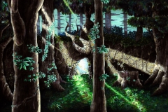 Distress Deep in the Lost Woods