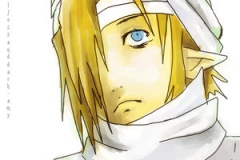 Visage de Sheik