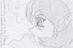 Link le grand artiste