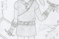 Link le Héros des Îles