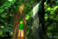 Link dans les bois