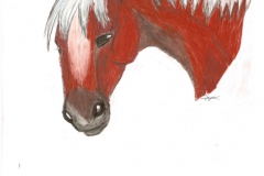 Epona au fusain
