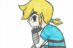 Link de Breath of the Wild 3