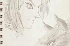 Link/Wolf