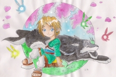 Link et Link loup