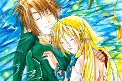 Link et Zelda reflet