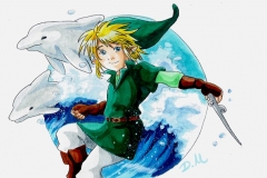 Link de The Wind Waker