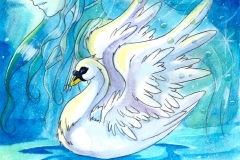 Cygne