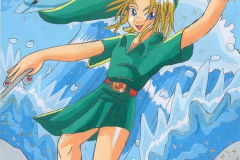 Link de The Wind Waker