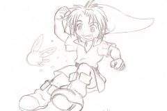 Link et Navi